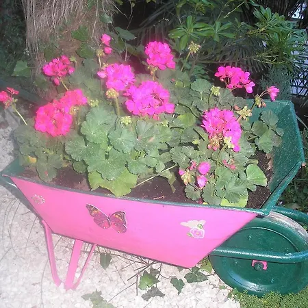 아파트 Nena With Private Free Parking 오파티아